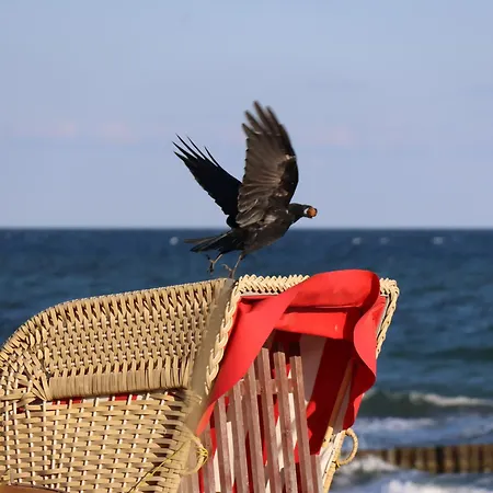 Fairschlafen Boutique Mit Hotelkomfort - Kajuete 0-09 Mit Privater Terrasse Ξενοδοχείο